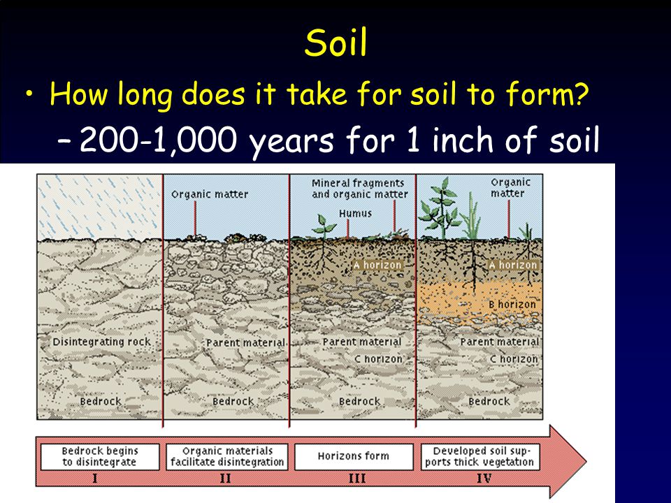 soil and food soil what is it 1 inorganic materials clay silt how long does it take soil to form