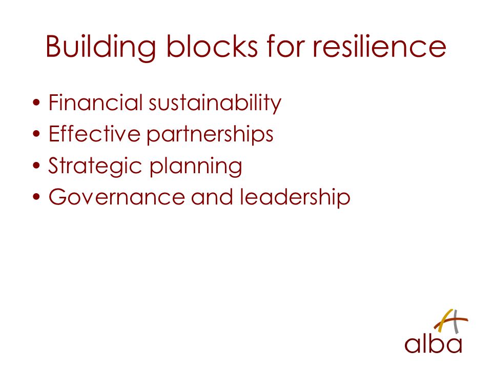 Building blocks for resilience Financial sustainability Effective partnerships Strategic planning Governance and leadership