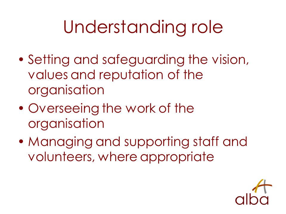 Understanding role Setting and safeguarding the vision, values and reputation of the organisation Overseeing the work of the organisation Managing and supporting staff and volunteers, where appropriate