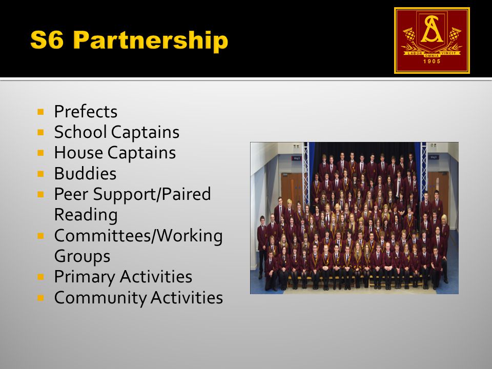  Prefects  School Captains  House Captains  Buddies  Peer Support/Paired Reading  Committees/Working Groups  Primary Activities  Community Activities