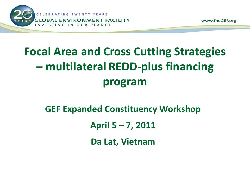 Focal Area and Cross Cutting Strategies – multilateral REDD-plus financing program GEF Expanded Constituency Workshop April 5 – 7, 2011 Da Lat, Vietnam