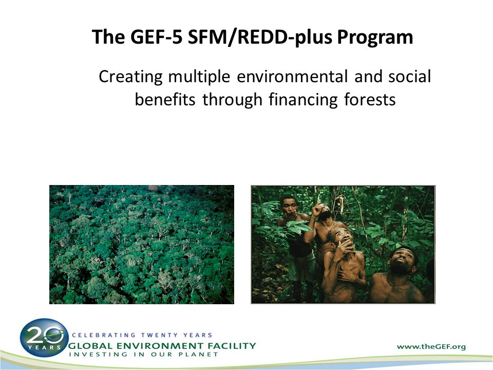 The GEF-5 SFM/REDD-plus Program Creating multiple environmental and social benefits through financing forests