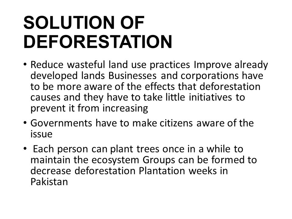 Deforestation introduction essay