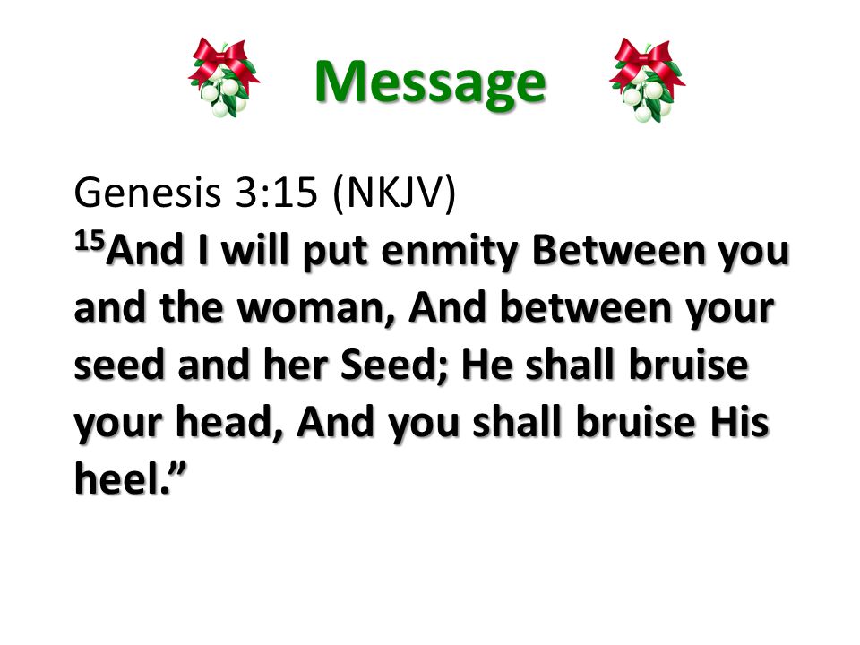 Message Genesis 3:15 (NKJV) 15 And I will put enmity Between you and the woman, And between your seed and her Seed; He shall bruise your head, And you shall bruise His heel.