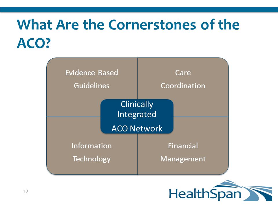 What Are the Cornerstones of the ACO.