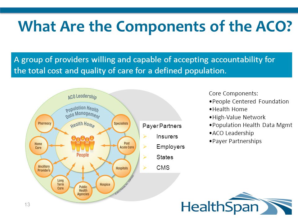 What Are the Components of the ACO.