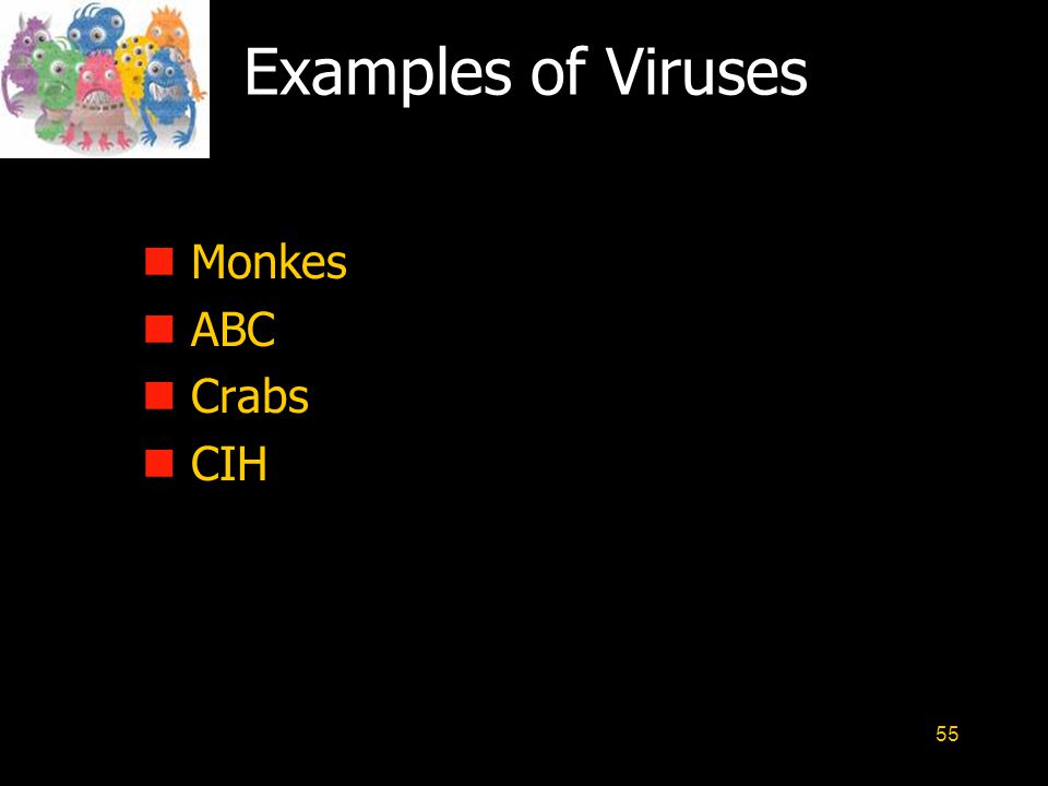 55 Examples of Viruses n Monkes n ABC n Crabs n CIH