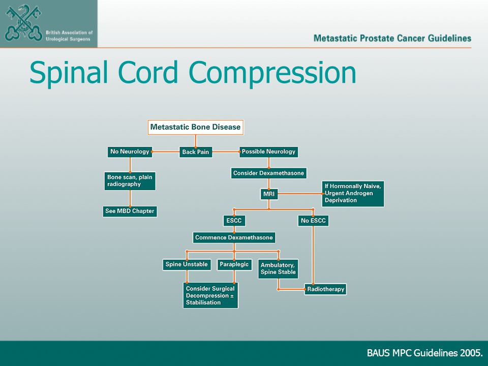 Spinal Cord Compression BAUS MPC Guidelines 2005.