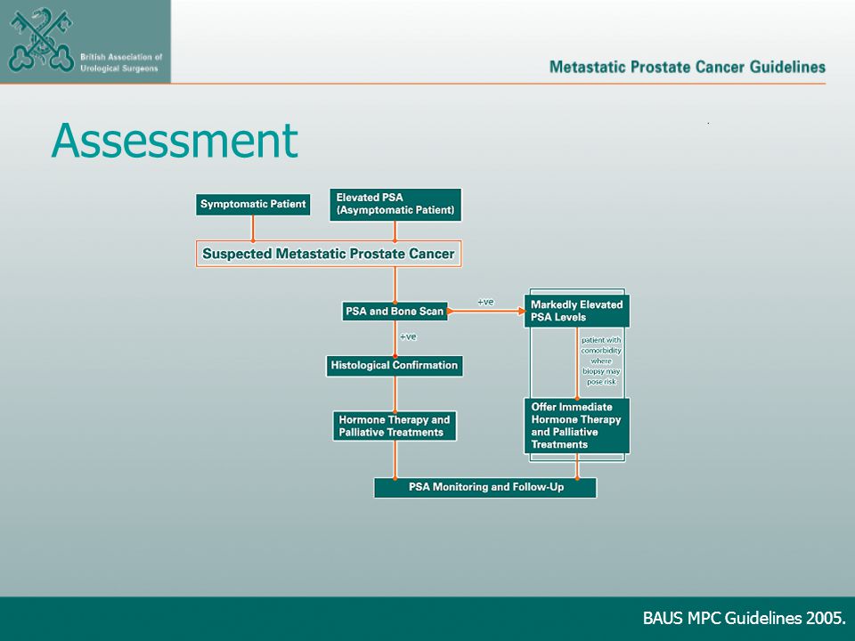 Assessment BAUS MPC Guidelines 2005.