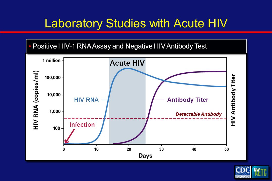 Laboratory Studies with Acute HIV Antibody Titer Detectable Antibody Acute HIV Infection HIV RNA Positive HIV-1 RNA Assay and Negative HIV Antibody Test Antibody Titer Detectable Antibody