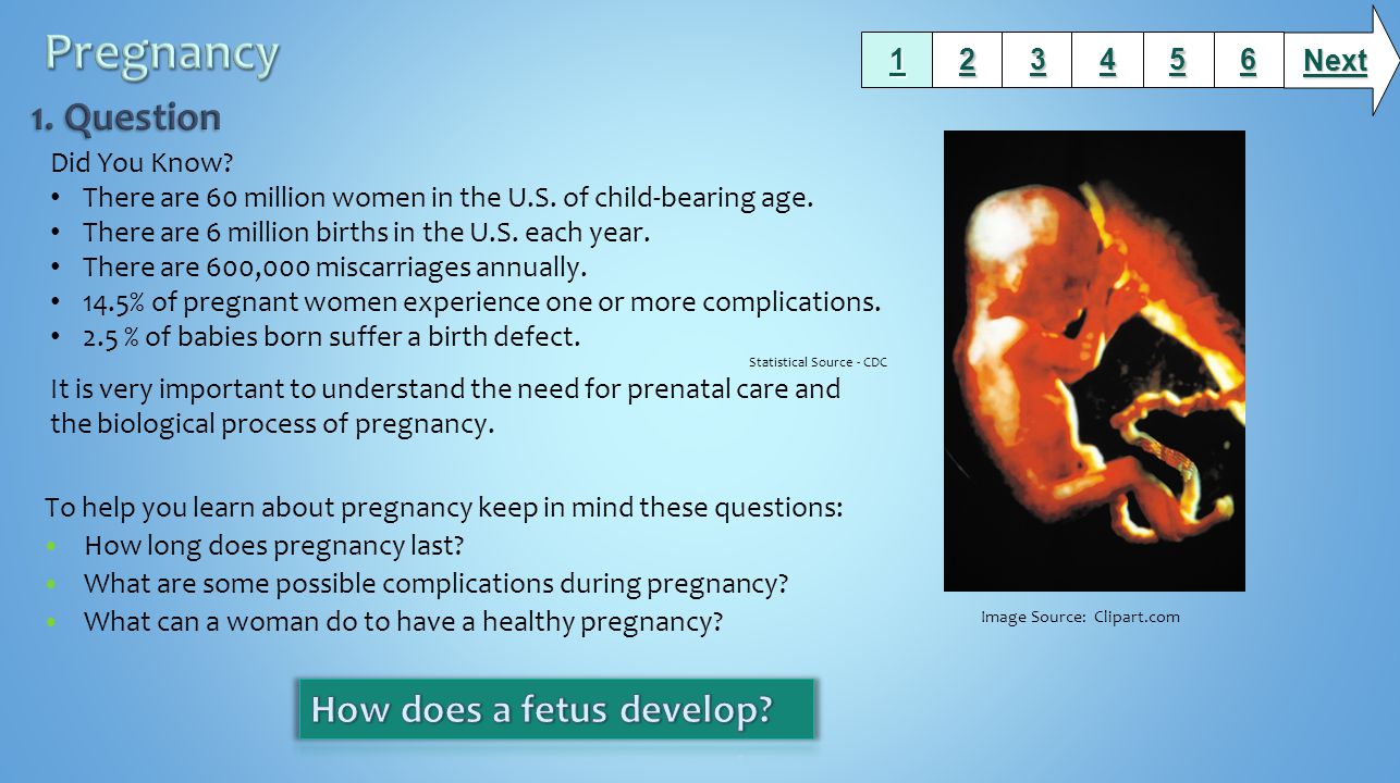 To help you learn about pregnancy keep in mind these questions: How long does pregnancy last.