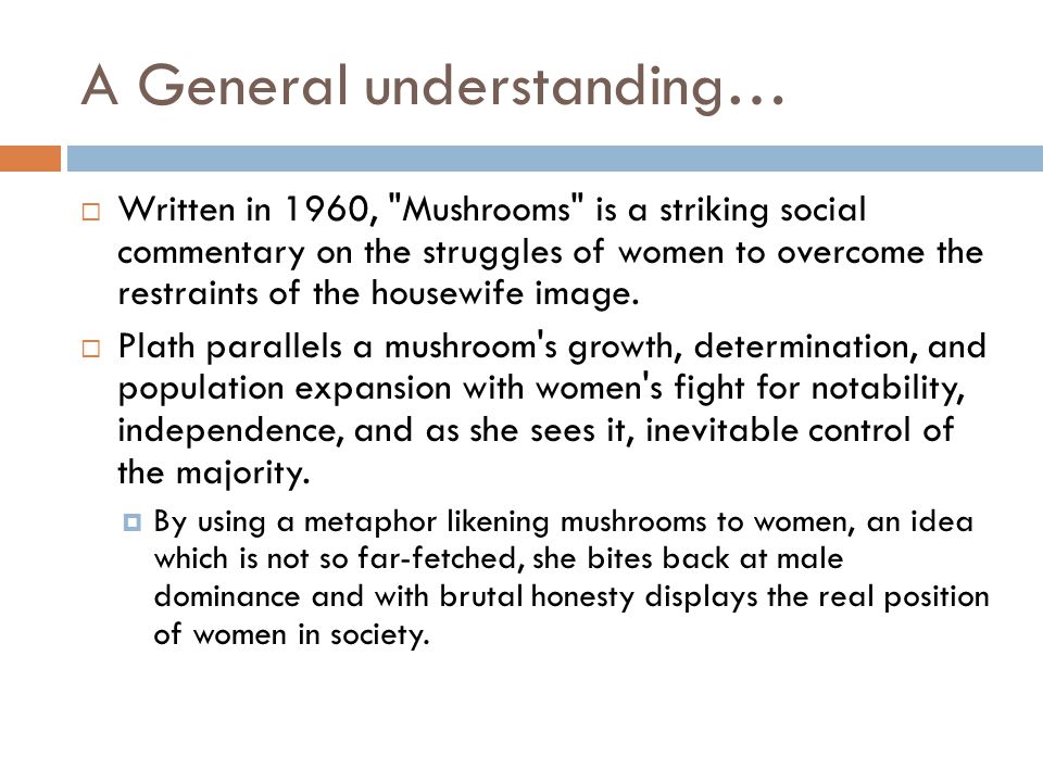 njhs essay sample
