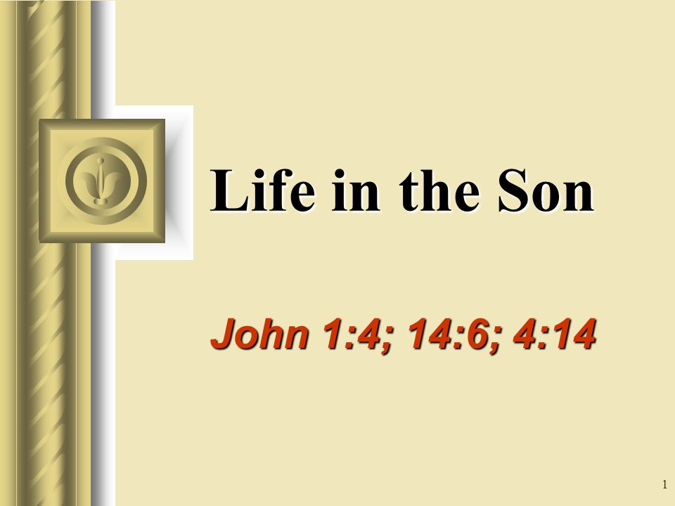 1 Life in the Son John 1:4; 14:6; 4:14 This presentation will probably involve audience discussion, which will create action items.