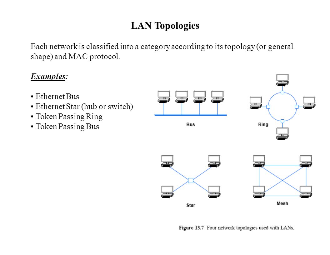 lan topologies essay Network topologies essays: over 180,000 network topologies essays, network topologies term papers, network topologies research paper, book reports 184 990 essays, term and research papers available for unlimited access. lan topologies essay Network topologies essays: over 180,000 network topologies essays, network topologies term papers, network topologies research paper, book reports 184 990 essays, term and research papers available for unlimited access.