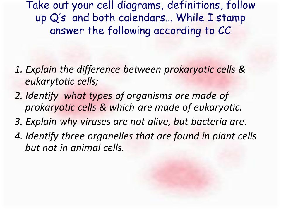 Take out your cell diagrams, definitions, follow up Q’s and both calendars… While I stamp answer the following according to CC 1.