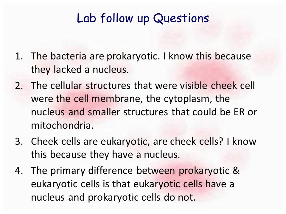 Lab follow up Questions 1.The bacteria are prokaryotic.