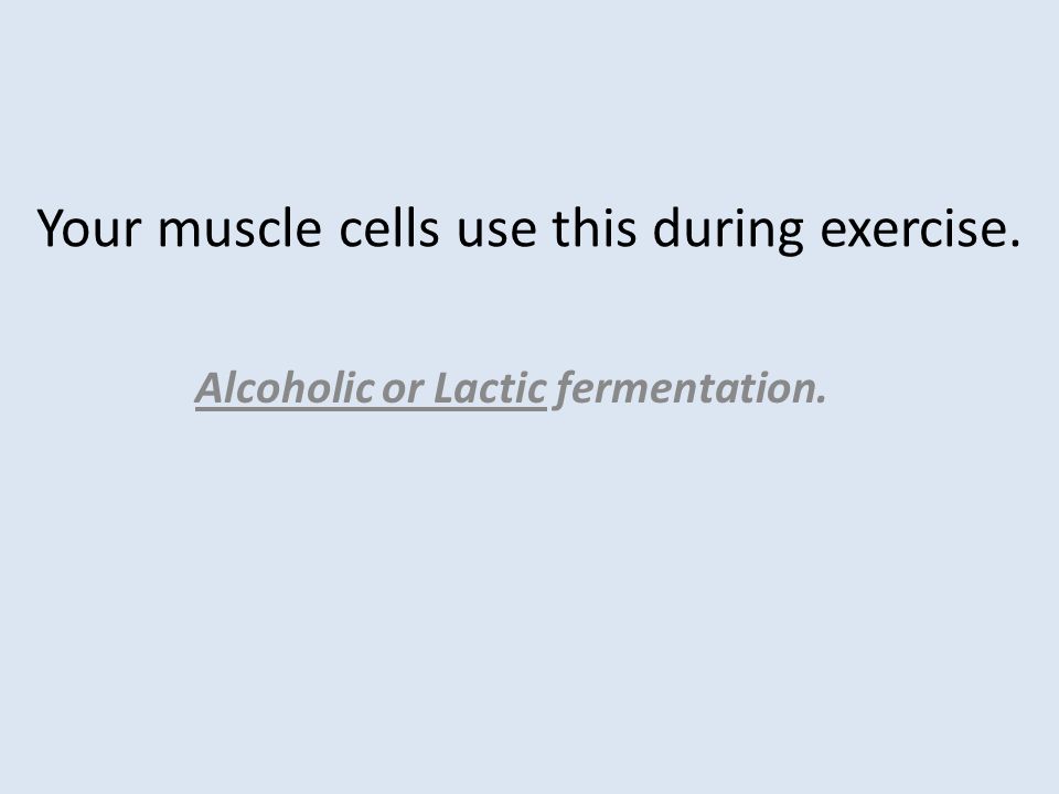 Using Words What Is The Overall Equation For Cellular Respiration In Cellular Respiration The Mitochondria Releases Energy D What Is Chemical Equation