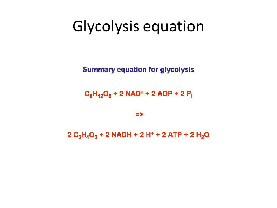 Equation For Glycolysis Talkchannels Summary Equation For Glycolysis Talkchannels
