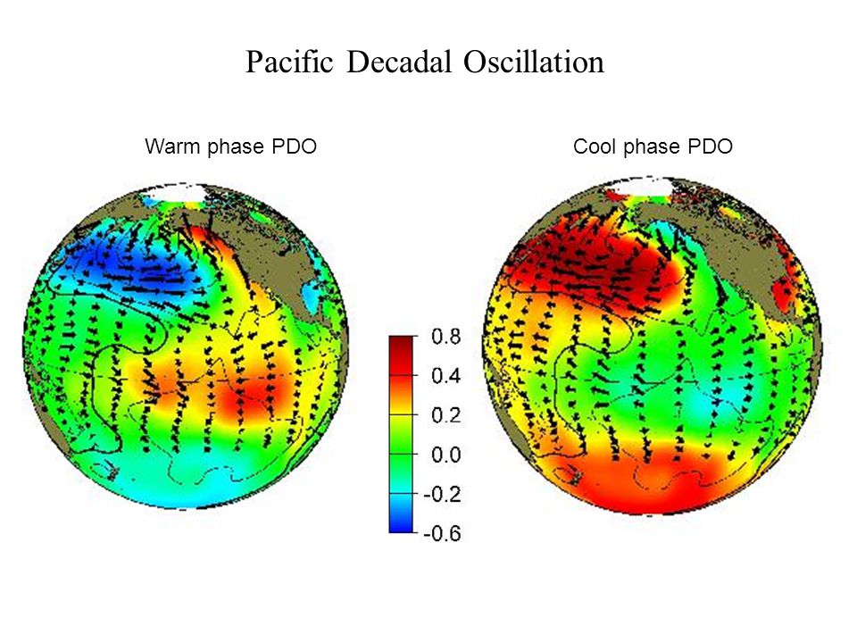 Pacific Decadal Oscillation Warm phase PDOCool phase PDO