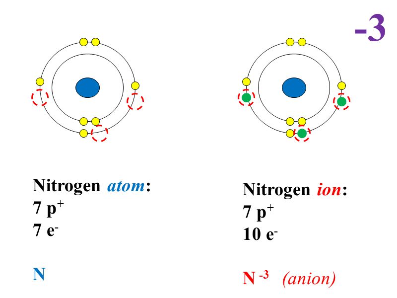 Nitrogen atom: 7 p + 7 e - N Nitrogen ion: 7 p + 10 e - N -3 (anion) -3