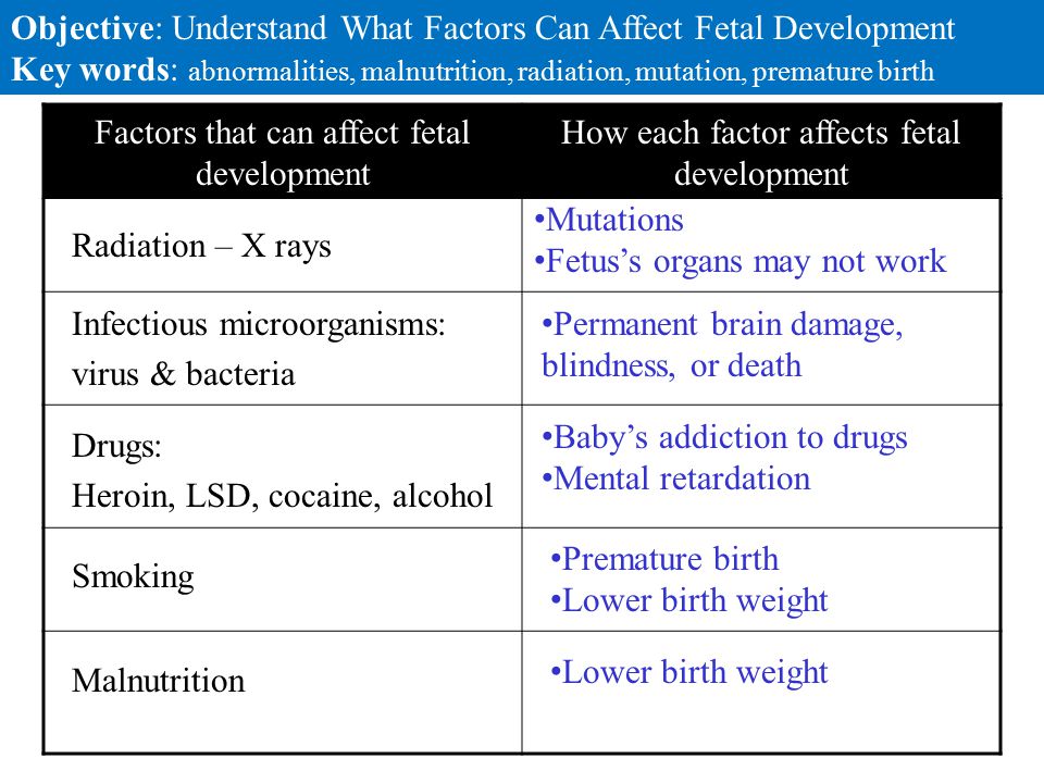 factors that negatively effect fetal development essay Free essay: fetal alcohol syndrome it despite all the current information about the negative effects of the critical periods of fetal development during. factors that negatively effect fetal development essay Free essay: fetal alcohol syndrome it despite all the current information about the negative effects of the critical periods of fetal development during.