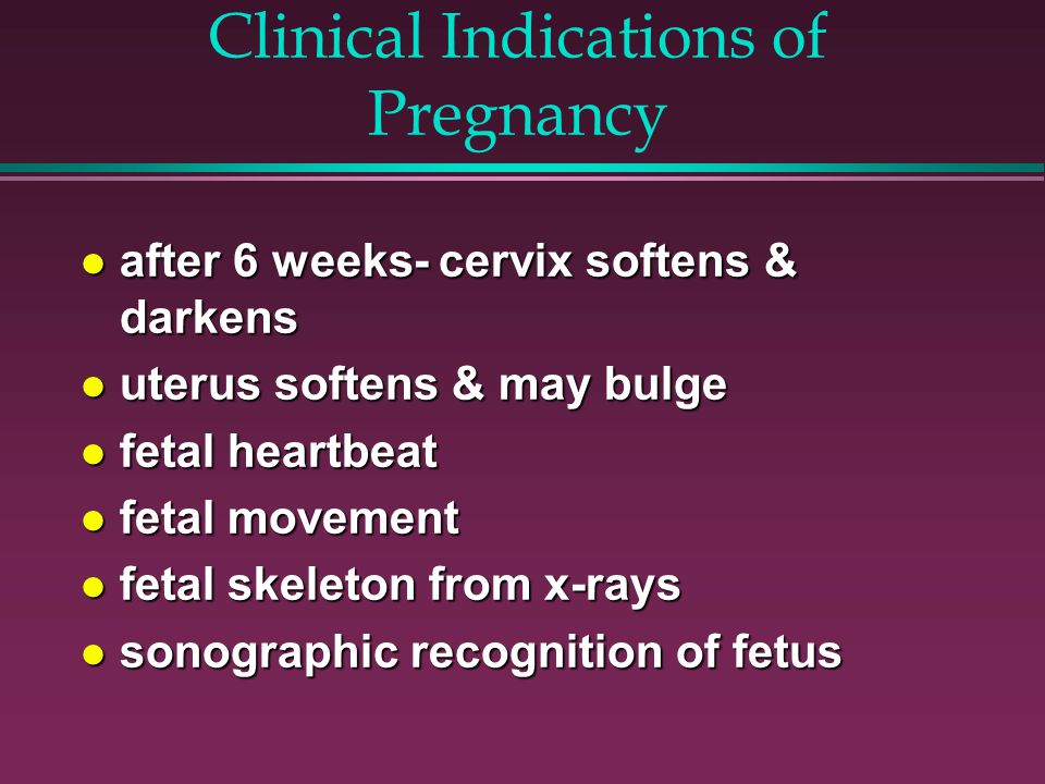 Clinical Indications of Pregnancy after 6 weeks- cervix softens & darkens after 6 weeks- cervix softens & darkens uterus softens & may bulge uterus softens & may bulge fetal heartbeat fetal heartbeat fetal movement fetal movement fetal skeleton from x-rays fetal skeleton from x-rays sonographic recognition of fetus sonographic recognition of fetus