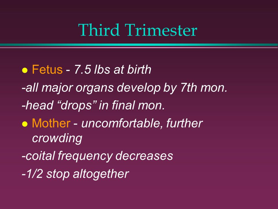 Third Trimester Fetus lbs at birth -all major organs develop by 7th mon.