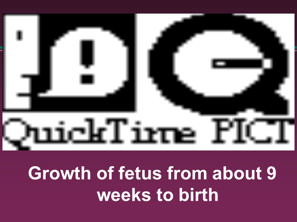 Growth of fetus from about 9 weeks to birth