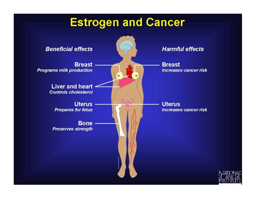 Fetal hormones breast cancer