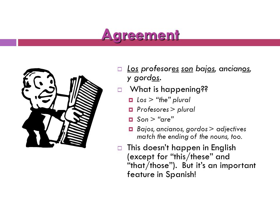 Agreement  La profesora es baja, anciana, y gorda.  What if there is more than one male teacher