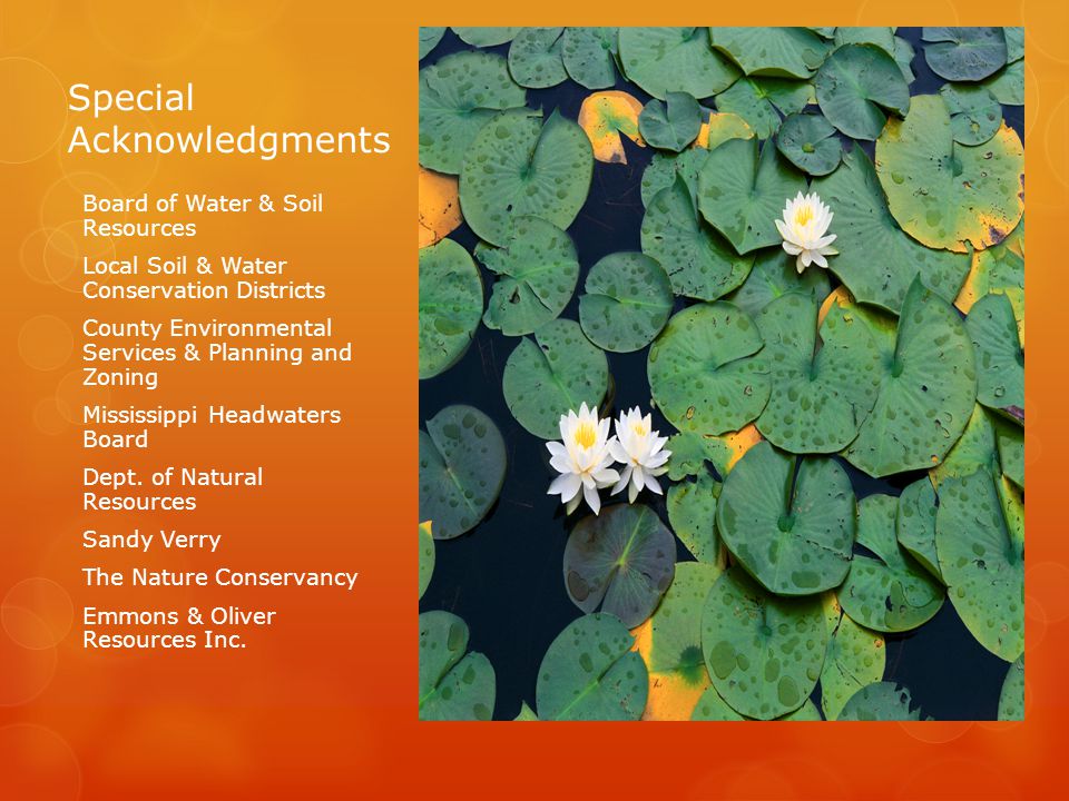 Special Acknowledgments Board of Water & Soil Resources Local Soil & Water Conservation Districts County Environmental Services & Planning and Zoning Mississippi Headwaters Board Dept.