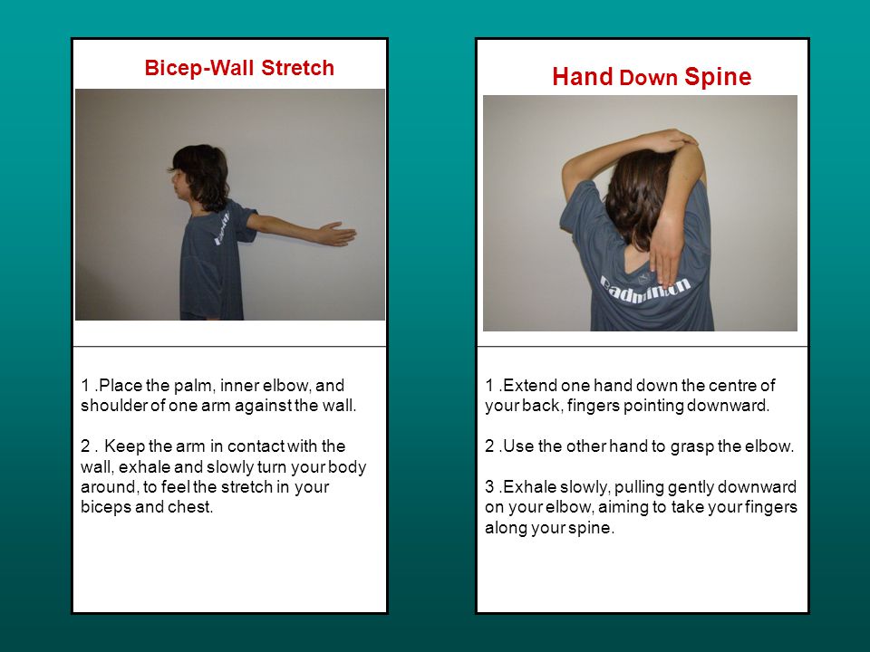 Bicep-Wall Stretch 1.Place the palm, inner elbow, and shoulder of one arm against the wall.