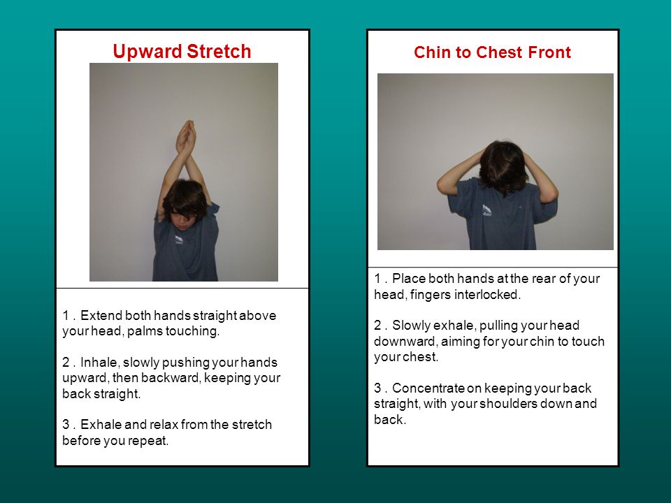 Upward Stretch 1. Extend both hands straight above your head, palms touching.