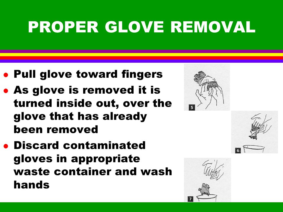 PROPER REMOVAL OF GLOVES l Grasp glove at heel of hand without touching skin l pull glove toward fingers l remove glove from hand l While holding soiled glove, insert index and middle fingers of free hand under other glove at cuff