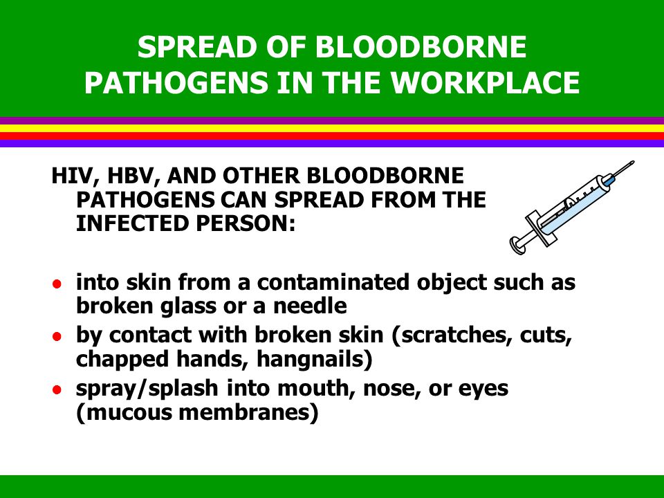 EXAMPLES OF BLOODBORNE PATHOGENS l HIV l HEPATITIS B (HBV) l HEPATITIS C l HEPATITIS D l MALARIA l SOME SEXUALLY TRANSMITTED DISEASES