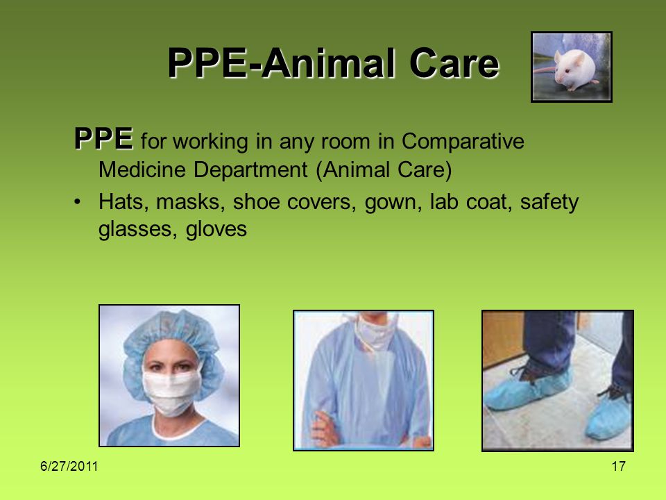 6/27/ PPE-Animal Care PPE PPE for working in any room in Comparative Medicine Department (Animal Care) Hats, masks, shoe covers, gown, lab coat, safety glasses, gloves