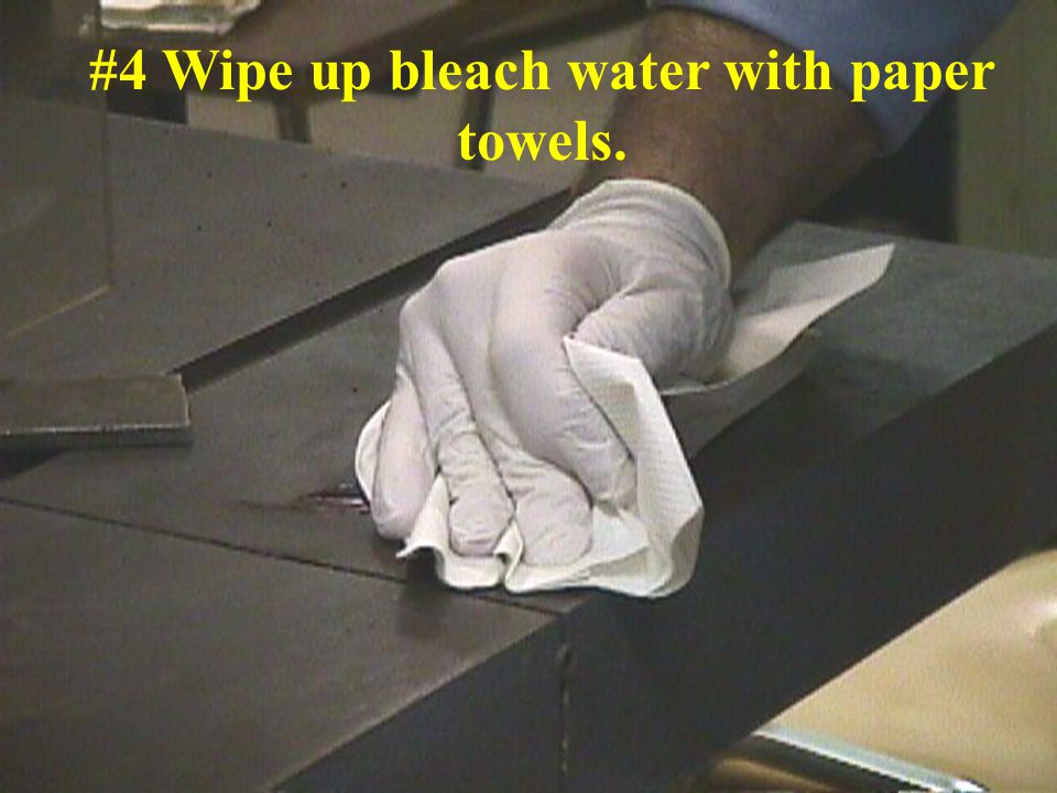 11 #4 Wipe up bleach water with paper towels.