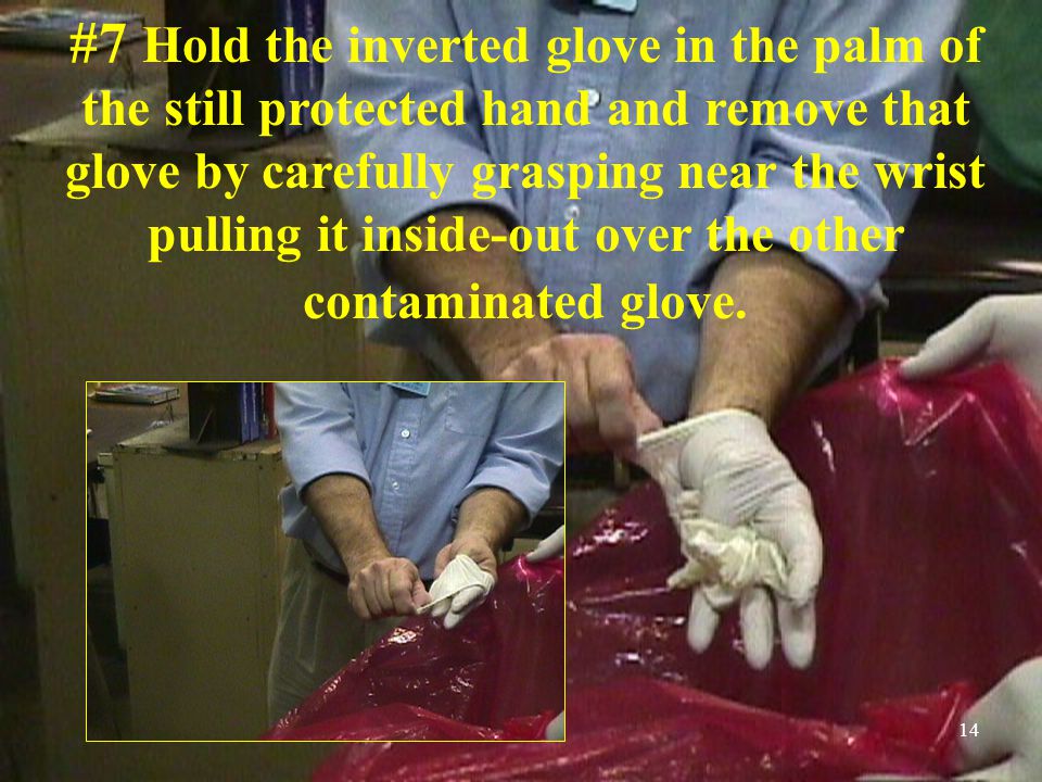 14 #7 Hold the inverted glove in the palm of the still protected hand and remove that glove by carefully grasping near the wrist pulling it inside-out over the other contaminated glove.