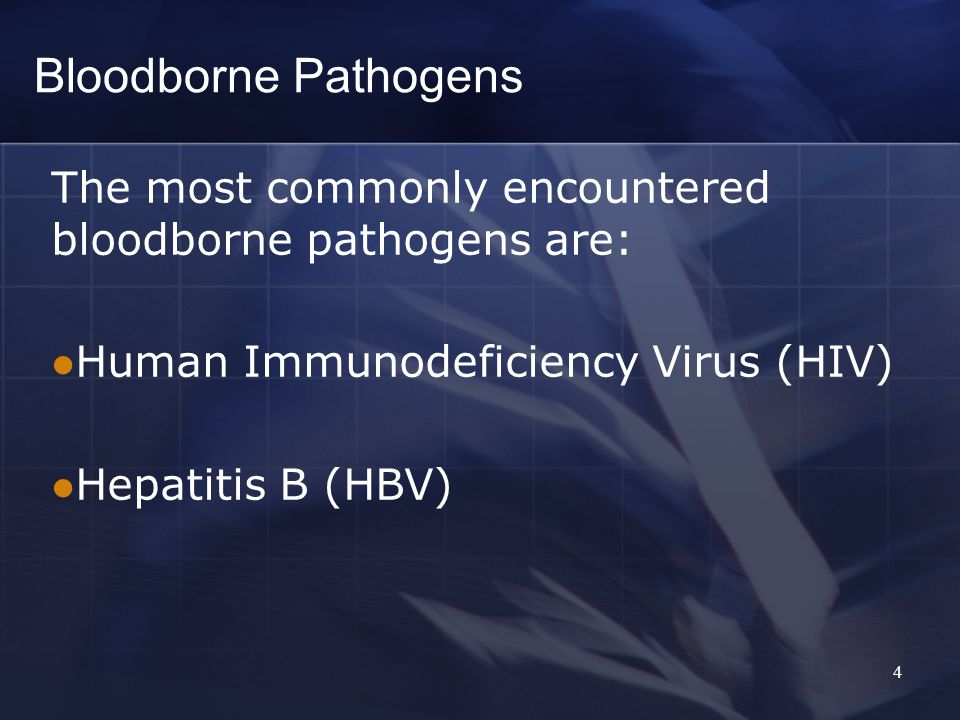 4 Bloodborne Pathogens The most commonly encountered bloodborne pathogens are: Human Immunodeficiency Virus (HIV) Hepatitis B (HBV)