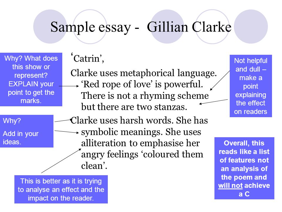 Definition Essay Samples