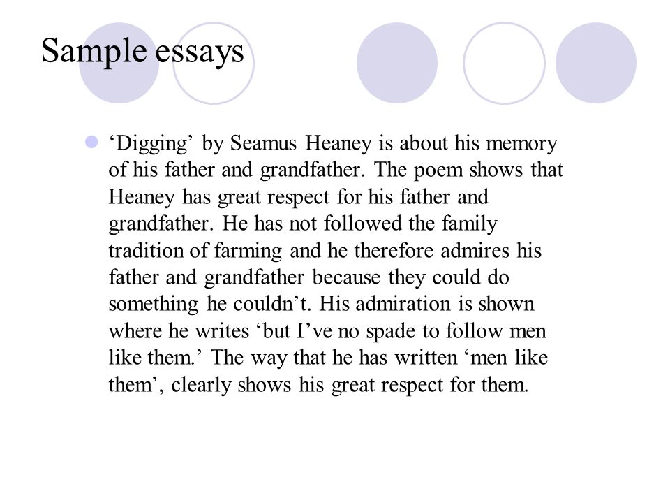 Digging By Seamus Heaney Essay