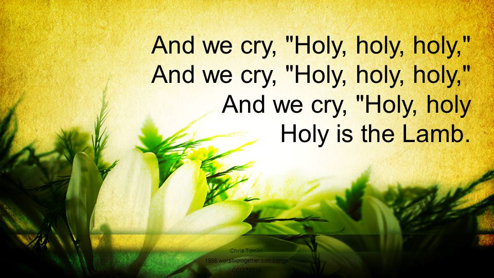 And we cry, Holy, holy, holy, And we cry, Holy, holy, holy, And we cry, Holy, holy Holy is the Lamb.