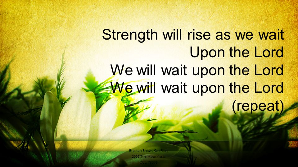 Strength will rise as we wait Upon the Lord We will wait upon the Lord We will wait upon the Lord (repeat) Brenton Brown, Ken Riley 2005 Thankyou Music CCLI 78316