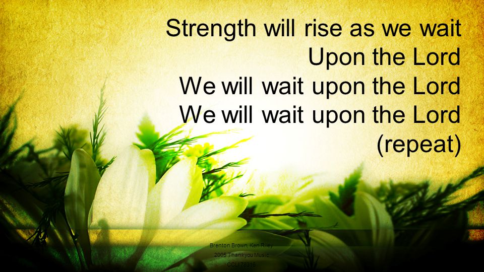 Strength will rise as we wait Upon the Lord We will wait upon the Lord We will wait upon the Lord (repeat) Brenton Brown, Ken Riley 2005 Thankyou Music CCLI 78316