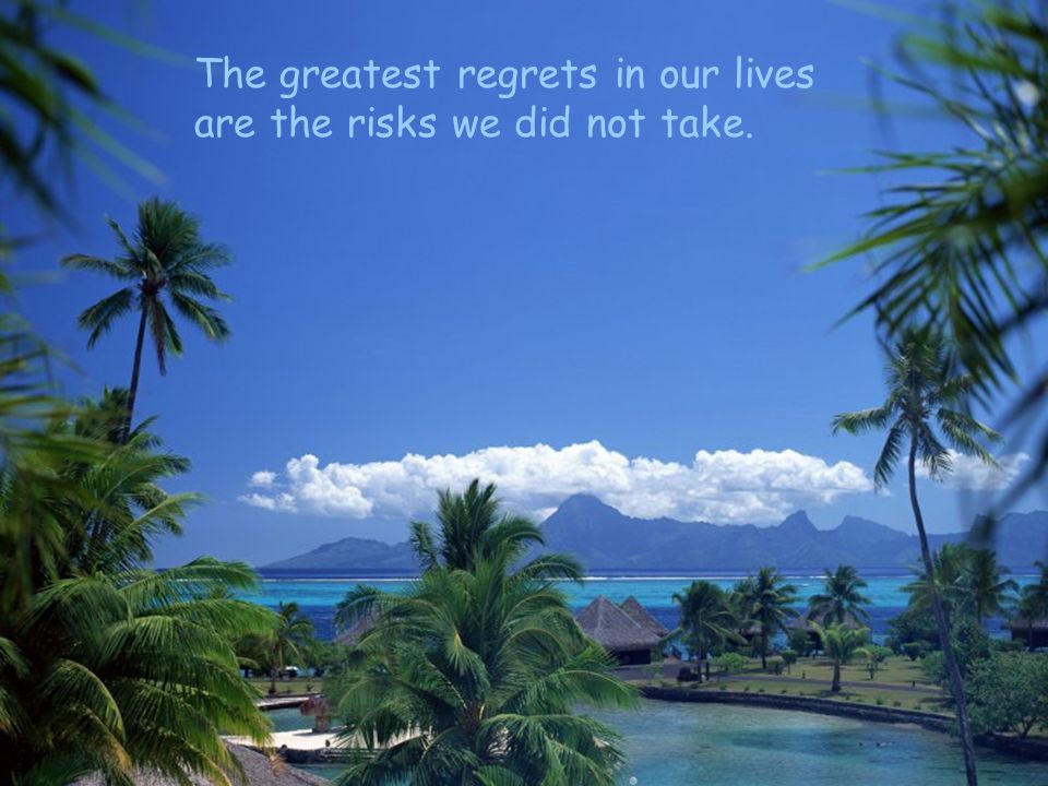 The greatest regrets in our lives are the risks we did not take.