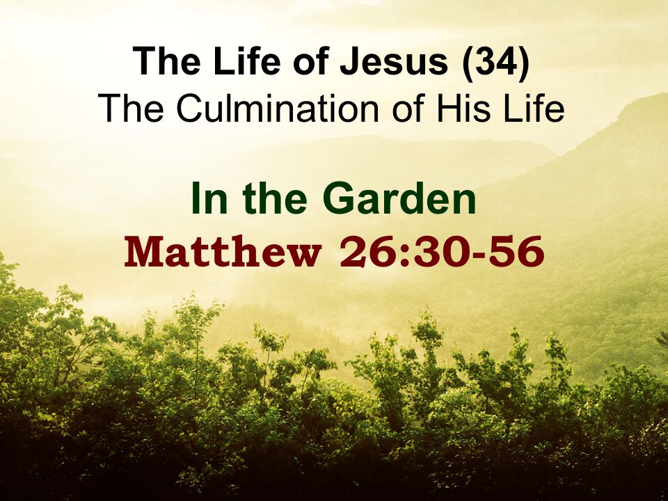The Life of Jesus (34) The Culmination of His Life In the Garden Matthew 26:30-56