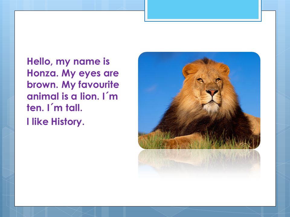 Hello, my name is Honza. My eyes are brown. My favourite animal is a lion.