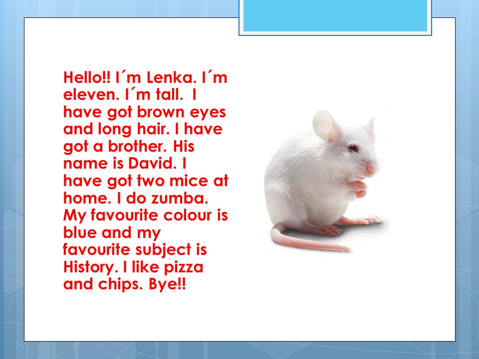 Hello!. I´m Lenka. I´m eleven. I´m tall. I have got brown eyes and long hair.