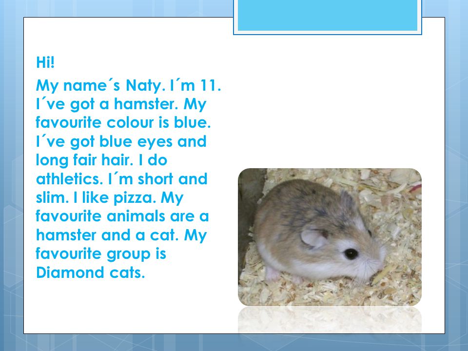 Hi. My name´s Naty. I´m 11. I´ve got a hamster.