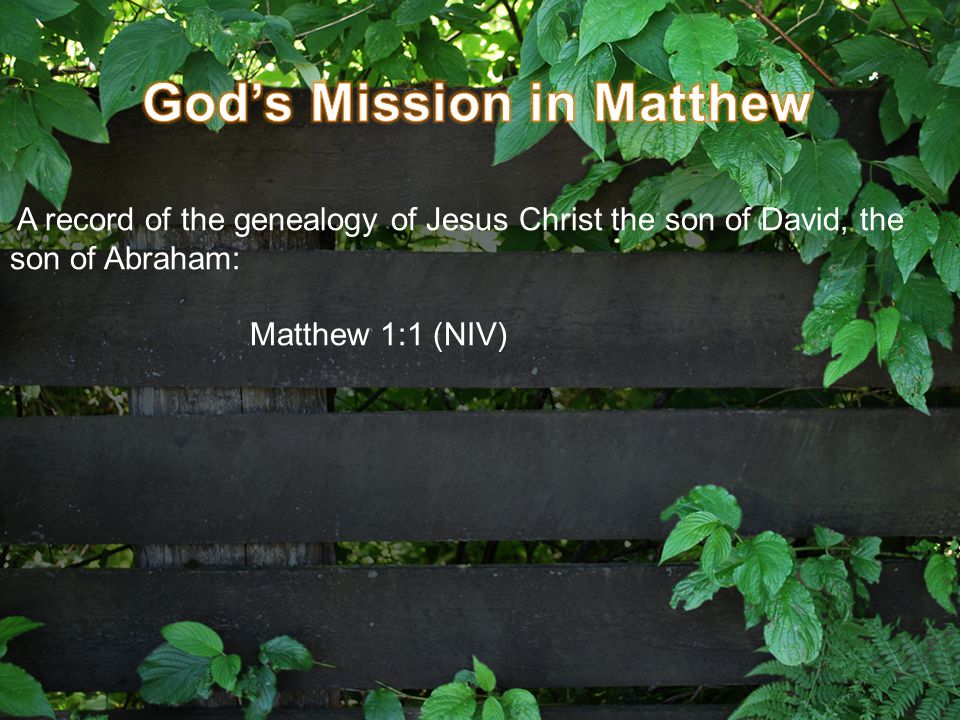 A record of the genealogy of Jesus Christ the son of David, the son of Abraham: Matthew 1:1 (NIV)